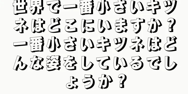 世界で一番小さいキツネはどこにいますか？一番小さいキツネはどんな姿をしているでしょうか？