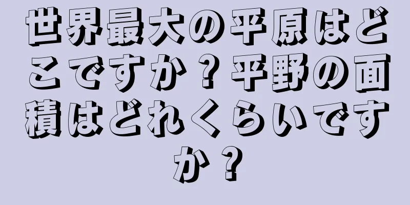 世界最大の平原はどこですか？平野の面積はどれくらいですか？