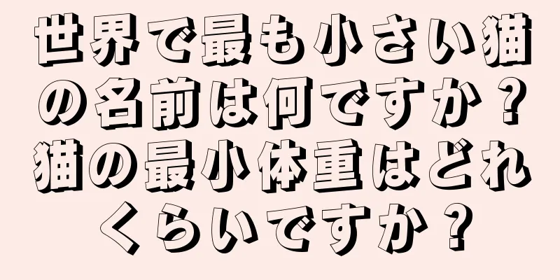 世界で最も小さい猫の名前は何ですか？猫の最小体重はどれくらいですか？
