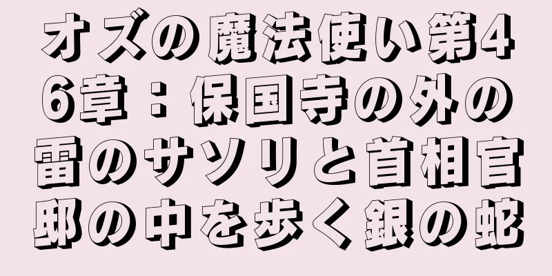 オズの魔法使い第46章：保国寺の外の雷のサソリと首相官邸の中を歩く銀の蛇