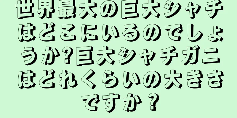 世界最大の巨大シャチはどこにいるのでしょうか?巨大シャチガニはどれくらいの大きさですか？