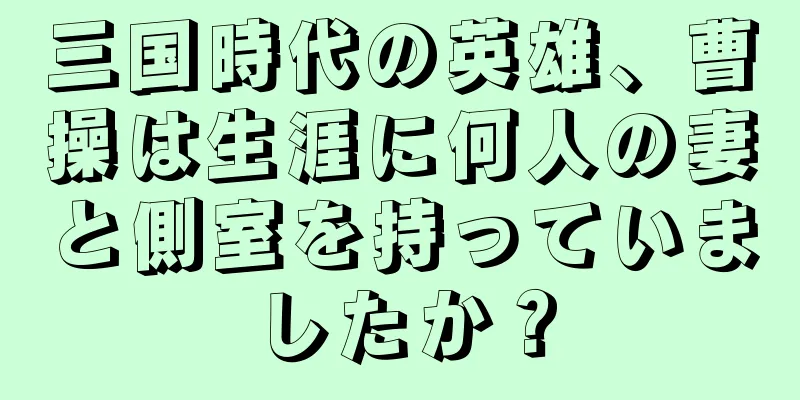 三国時代の英雄、曹操は生涯に何人の妻と側室を持っていましたか？