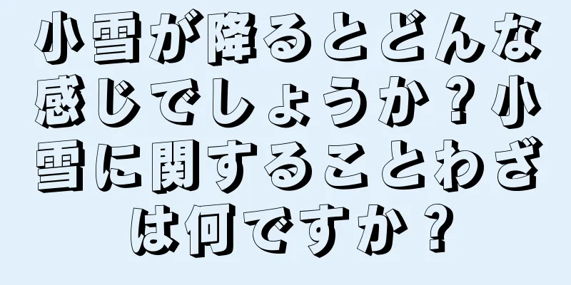 小雪が降るとどんな感じでしょうか？小雪に関することわざは何ですか？