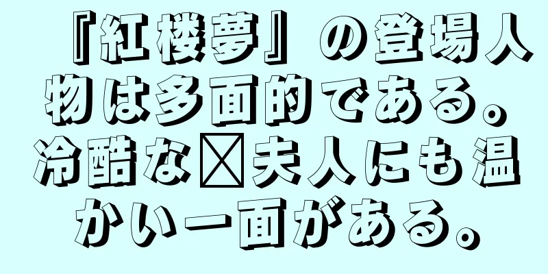 『紅楼夢』の登場人物は多面的である。冷酷な邢夫人にも温かい一面がある。