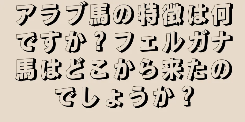 アラブ馬の特徴は何ですか？フェルガナ馬はどこから来たのでしょうか？