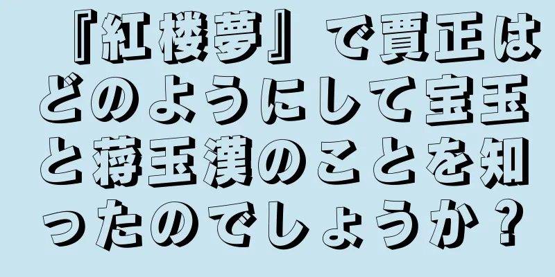 『紅楼夢』で賈正はどのようにして宝玉と蒋玉漢のことを知ったのでしょうか？