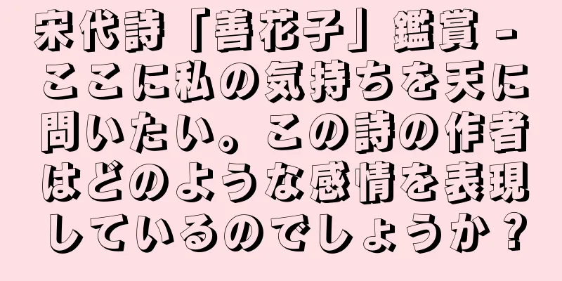 宋代詩「善花子」鑑賞 - ここに私の気持ちを天に問いたい。この詩の作者はどのような感情を表現しているのでしょうか？
