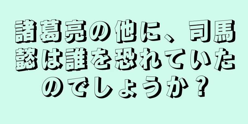 諸葛亮の他に、司馬懿は誰を恐れていたのでしょうか？