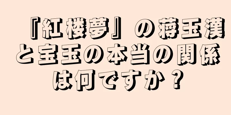 『紅楼夢』の蒋玉漢と宝玉の本当の関係は何ですか？