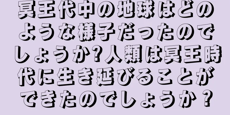 冥王代中の地球はどのような様子だったのでしょうか?人類は冥王時代に生き延びることができたのでしょうか？
