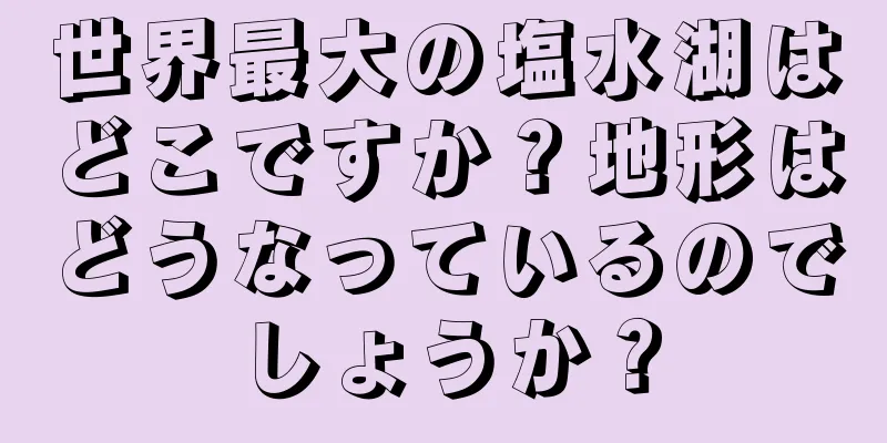 世界最大の塩水湖はどこですか？地形はどうなっているのでしょうか？