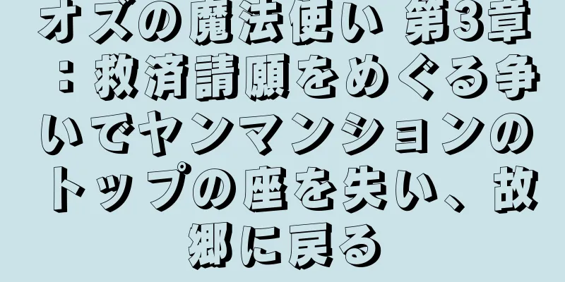 オズの魔法使い 第3章：救済請願をめぐる争いでヤンマンションのトップの座を失い、故郷に戻る