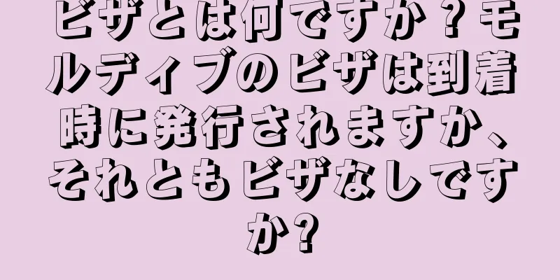 ビザとは何ですか？モルディブのビザは到着時に発行されますか、それともビザなしですか?