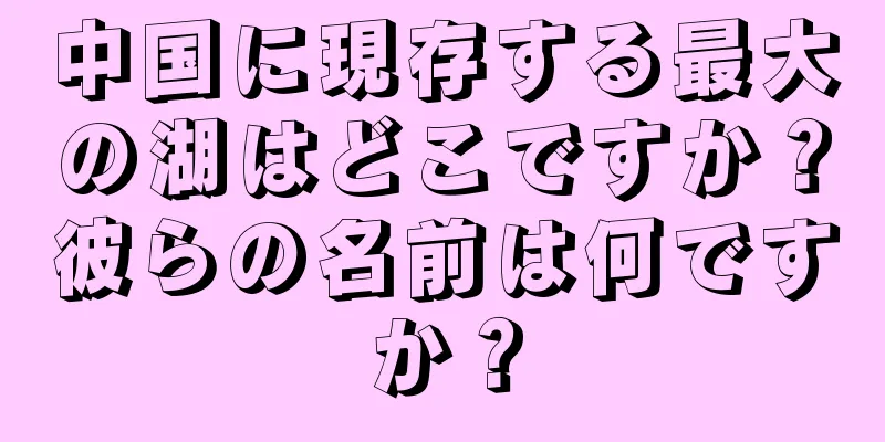 中国に現存する最大の湖はどこですか？彼らの名前は何ですか？