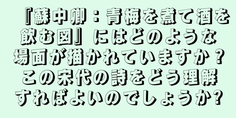 『蘇中卿：青梅を煮て酒を飲む図』にはどのような場面が描かれていますか？この宋代の詩をどう理解すればよいのでしょうか?