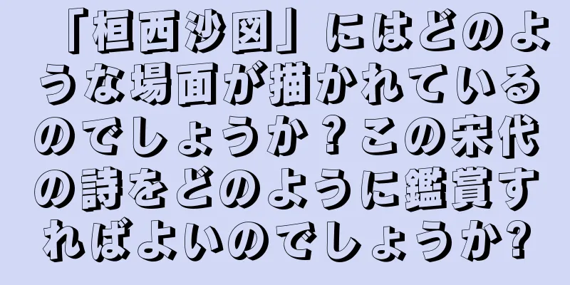 「桓西沙図」にはどのような場面が描かれているのでしょうか？この宋代の詩をどのように鑑賞すればよいのでしょうか?