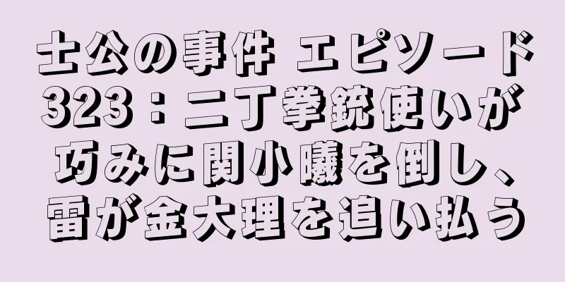 士公の事件 エピソード323：二丁拳銃使いが巧みに関小曦を倒し、雷が金大理を追い払う