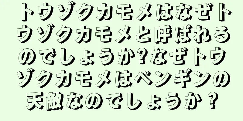 トウゾクカモメはなぜトウゾクカモメと呼ばれるのでしょうか?なぜトウゾクカモメはペンギンの天敵なのでしょうか？