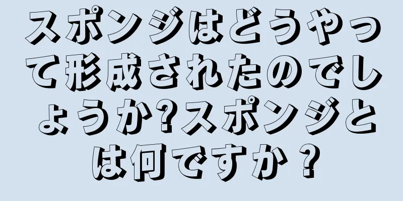 スポンジはどうやって形成されたのでしょうか?スポンジとは何ですか？