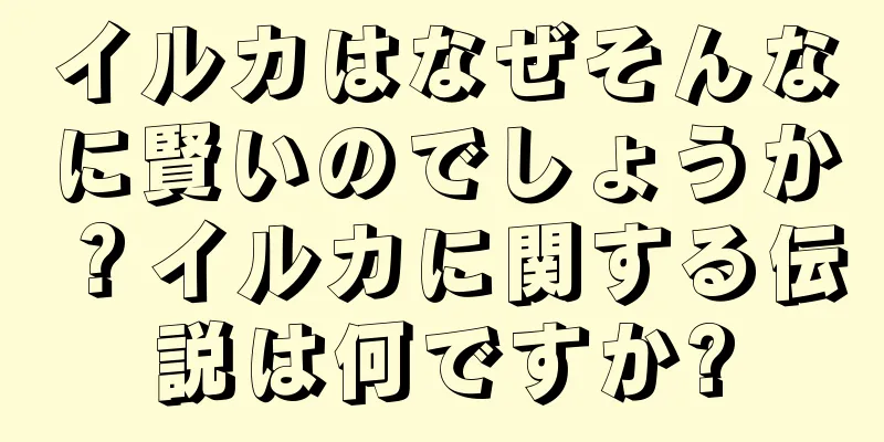 イルカはなぜそんなに賢いのでしょうか？イルカに関する伝説は何ですか?