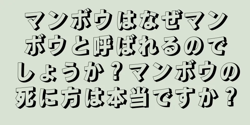 マンボウはなぜマンボウと呼ばれるのでしょうか？マンボウの死に方は本当ですか？
