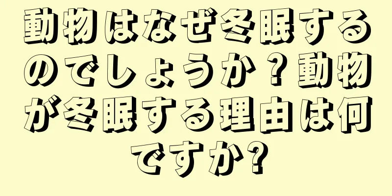 動物はなぜ冬眠するのでしょうか？動物が冬眠する理由は何ですか?