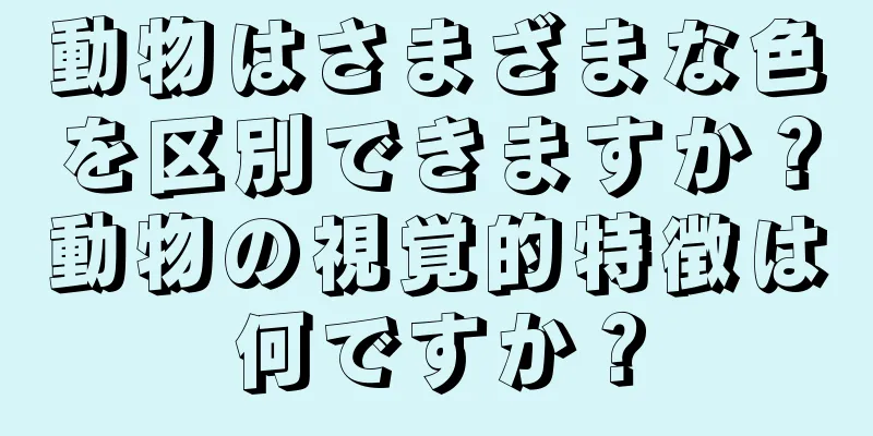 動物はさまざまな色を区別できますか？動物の視覚的特徴は何ですか？