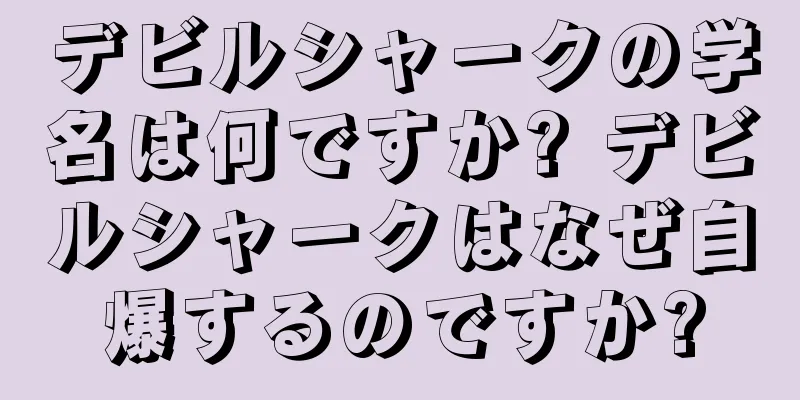 デビルシャークの学名は何ですか? デビルシャークはなぜ自爆するのですか?