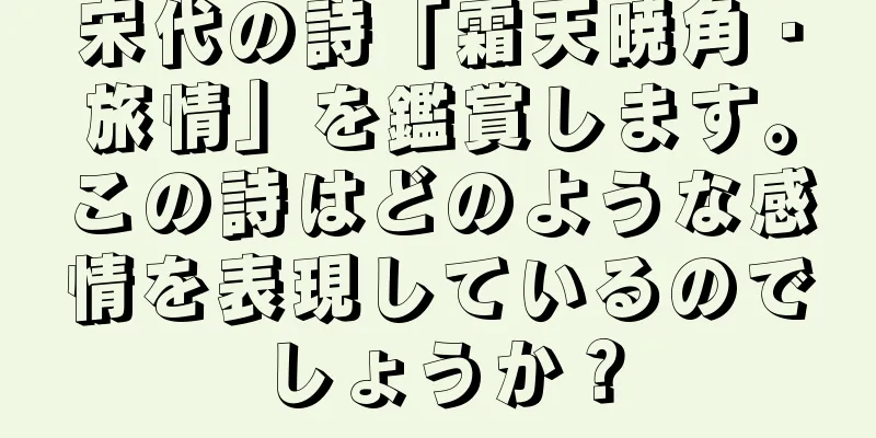宋代の詩「霜天暁角・旅情」を鑑賞します。この詩はどのような感情を表現しているのでしょうか？
