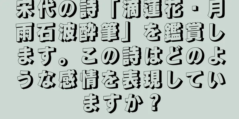 宋代の詩「滴蓮花・月雨石波酔筆」を鑑賞します。この詩はどのような感情を表現していますか？