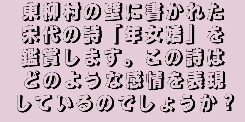 東柳村の壁に書かれた宋代の詩「年女嬌」を鑑賞します。この詩はどのような感情を表現しているのでしょうか？