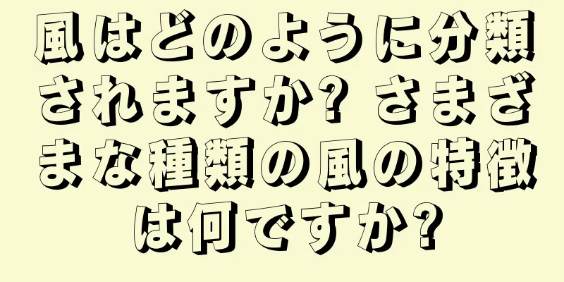 風はどのように分類されますか? さまざまな種類の風の特徴は何ですか?
