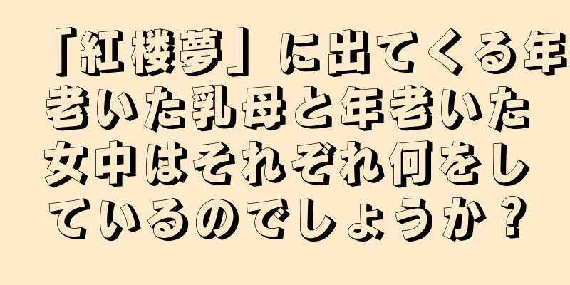 「紅楼夢」に出てくる年老いた乳母と年老いた女中はそれぞれ何をしているのでしょうか？