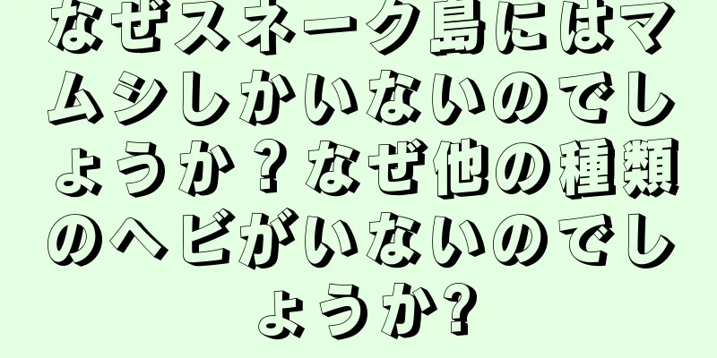 なぜスネーク島にはマムシしかいないのでしょうか？なぜ他の種類のヘビがいないのでしょうか?