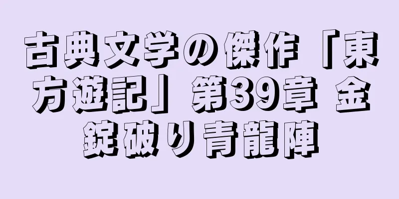 古典文学の傑作「東方遊記」第39章 金錠破り青龍陣