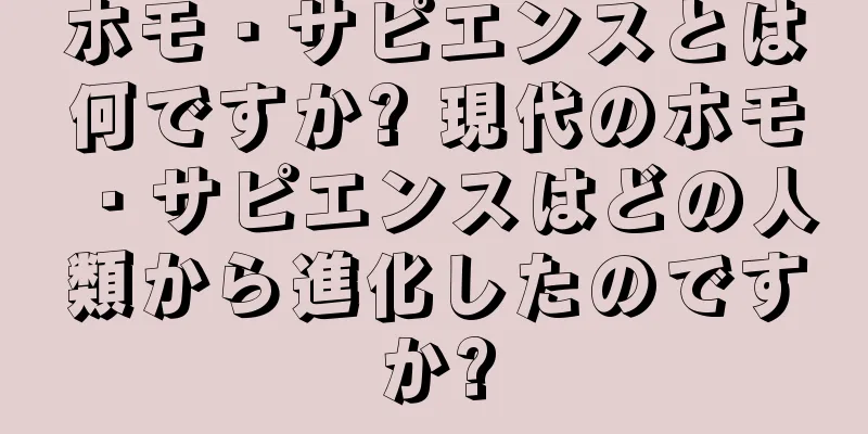 ホモ・サピエンスとは何ですか? 現代のホモ・サピエンスはどの人類から進化したのですか?
