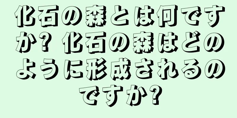 化石の森とは何ですか? 化石の森はどのように形成されるのですか?
