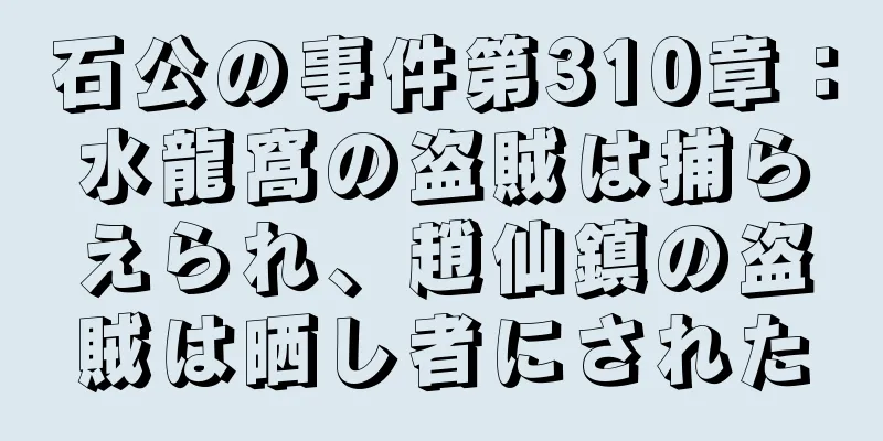 石公の事件第310章：水龍窩の盗賊は捕らえられ、趙仙鎮の盗賊は晒し者にされた