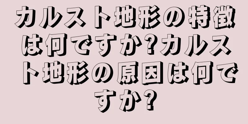 カルスト地形の特徴は何ですか?カルスト地形の原因は何ですか?