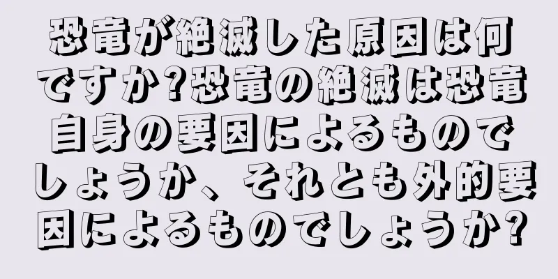 恐竜が絶滅した原因は何ですか?恐竜の絶滅は恐竜自身の要因によるものでしょうか、それとも外的要因によるものでしょうか?