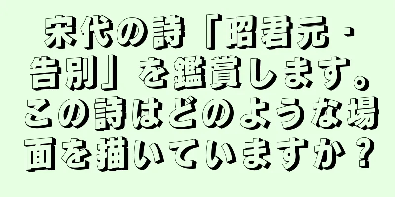 宋代の詩「昭君元・告別」を鑑賞します。この詩はどのような場面を描いていますか？