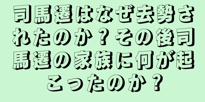 司馬遷はなぜ去勢されたのか？その後司馬遷の家族に何が起こったのか？