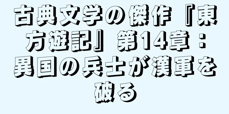 古典文学の傑作『東方遊記』第14章：異国の兵士が漢軍を破る