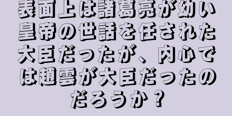 表面上は諸葛亮が幼い皇帝の世話を任された大臣だったが、内心では趙雲が大臣だったのだろうか？