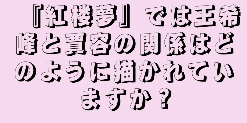 『紅楼夢』では王希峰と賈容の関係はどのように描かれていますか？