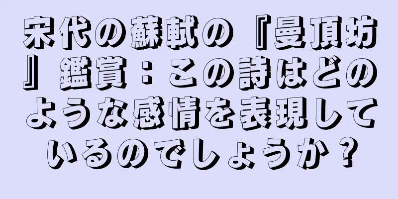 宋代の蘇軾の『曼頂坊』鑑賞：この詩はどのような感情を表現しているのでしょうか？