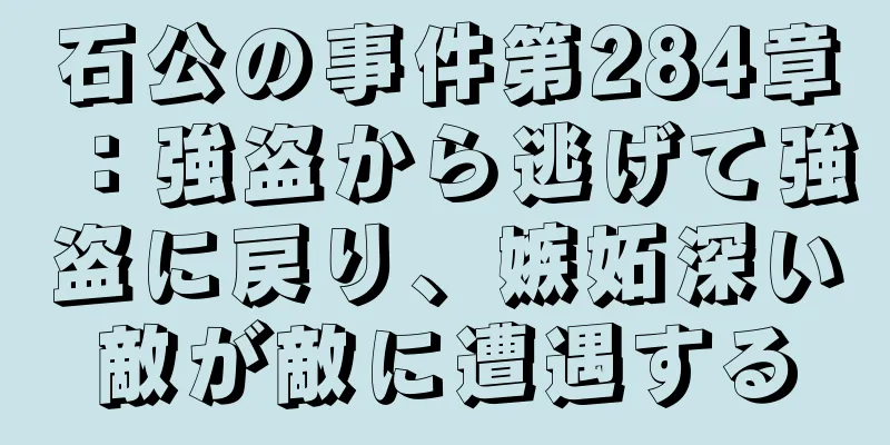 石公の事件第284章：強盗から逃げて強盗に戻り、嫉妬深い敵が敵に遭遇する