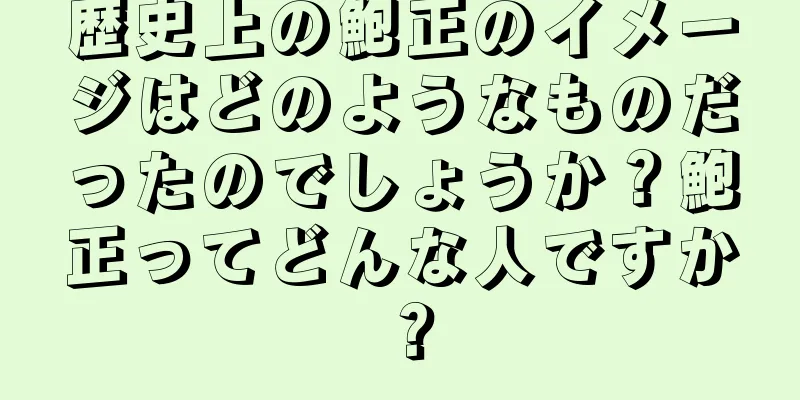 歴史上の鮑正のイメージはどのようなものだったのでしょうか？鮑正ってどんな人ですか？