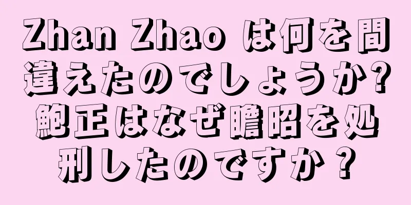 Zhan Zhao は何を間違えたのでしょうか?鮑正はなぜ瞻昭を処刑したのですか？