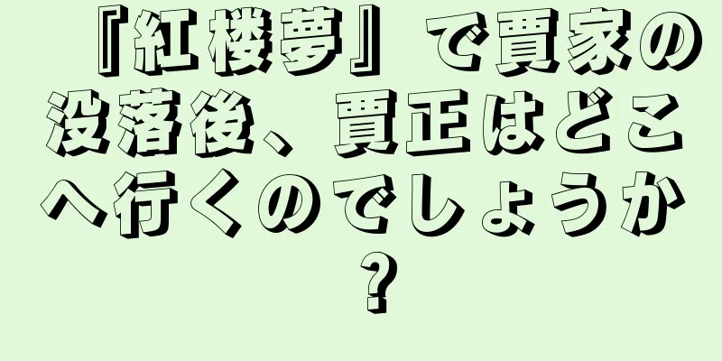 『紅楼夢』で賈家の没落後、賈正はどこへ行くのでしょうか？